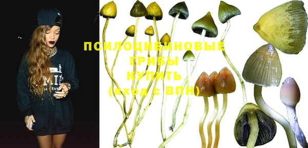 mdma Инсар