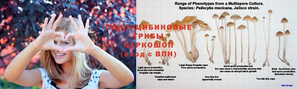jwh Белоозёрский